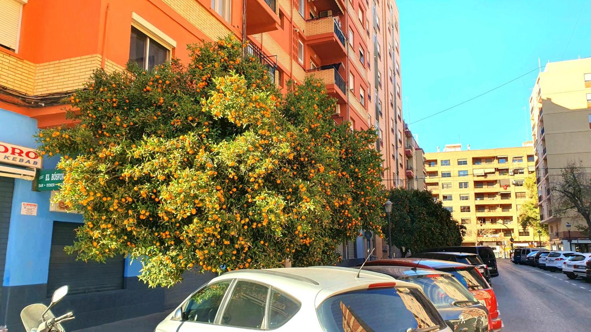 Nuevo Apartamentos Costa Del Alma Valencia Eksteriør billede