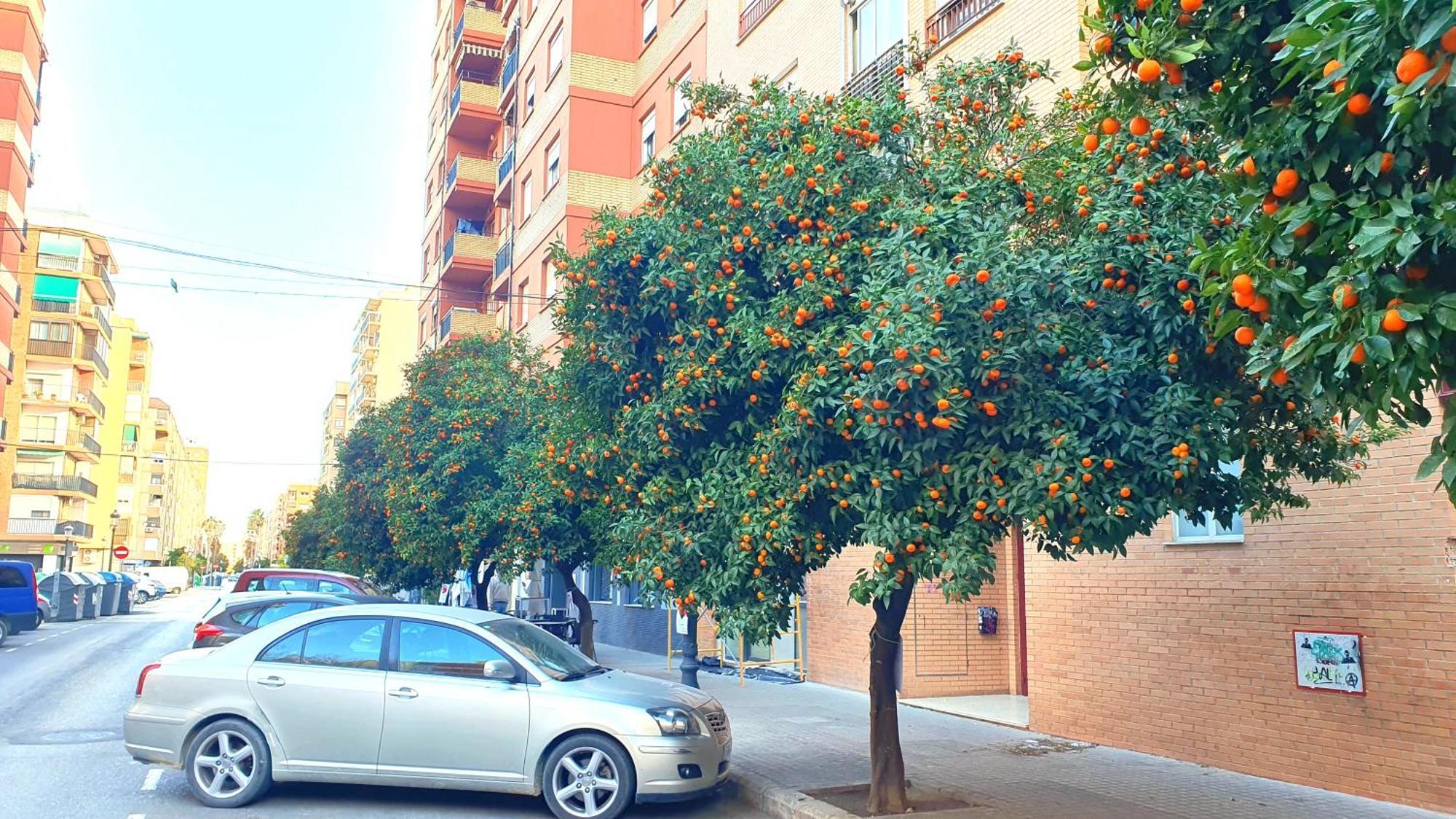 Nuevo Apartamentos Costa Del Alma Valencia Eksteriør billede
